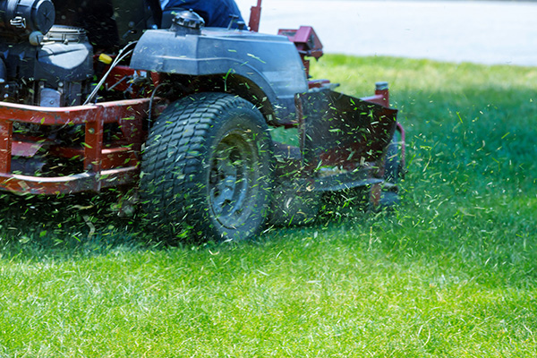 Grass Mowing Grass Mowing